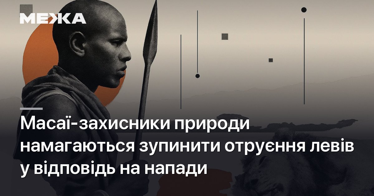 Чорно-білий профіль чоловіка зі списом на тлі помаранчевого кола. Праворуч унизу — голова лева. На бежево-сірому тлі — лінії, крапки й квадрати. Білі написи: «МЕЖА», «Масаї-захисники природи намагаються зупинити отруєння левів у відповідь на напади».