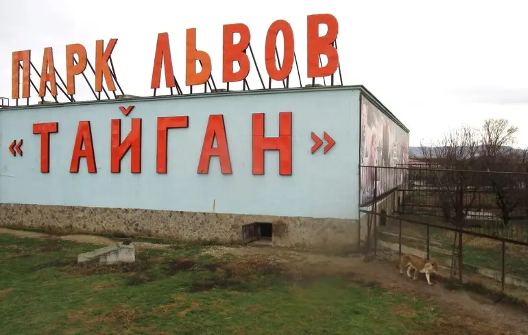 На світлій стіні великі червоні літери: \"ПАРК ЛЬВОВ \"ТАЙГАН\"\". Є металева огорожа. Біля неї гуляє собака. Трава і дерева без листя. Небо похмуре.