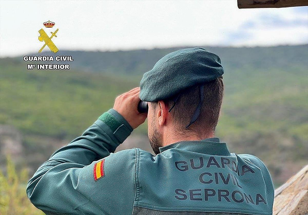 Чоловік у зеленій формі та береті дивиться в бінокль. На рукаві нашивка з прапором Іспанії. На спині видно текст: «GUARDIA CIVIL SEPRONA». Угорі ліворуч емблема й напис: «GUARDIA CIVIL Mº INTERIOR». На тлі зелені пагорби й небо.