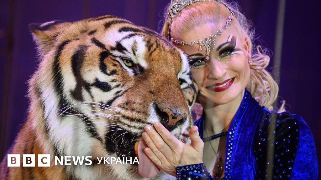 Великий тигр із помаранчево-чорними смугами та білою шерстю поруч з усміхненою жінкою у синьому блискучому вбранні. У жінки світле волосся, яскравий макіяж і срібна прикраса на голові. Внизу білий текст: “BBC NEWS УКРАЇНА”.