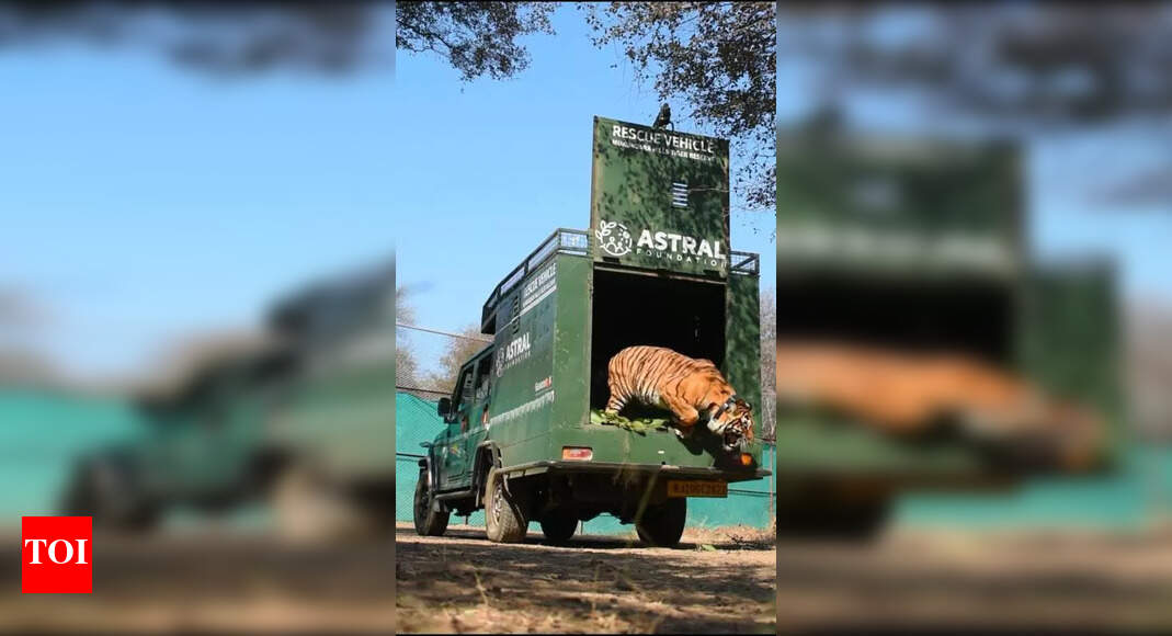 Тигр виходить із великого зеленого автомобіля з написами \"Rescue vehicle\" та \"Astral Foundation\" на фоні дерева й блакитного неба.